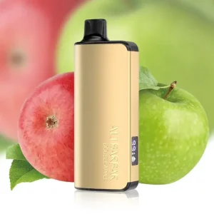 ALIBARBAR INGOT 9000 PUFFS – Double Apple Vape