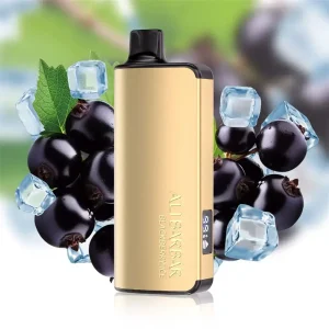 ALIBARBAR INGOT 9000 PUFFS – Grape Ice Vape