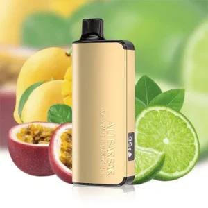 ALIBARBAR INGOT 9000 PUFFS – Passionfruit Mango Lime Vape