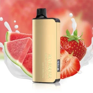 ALIBARBAR INGOT 9000 PUFFS – Strawberry Watermelon Vape