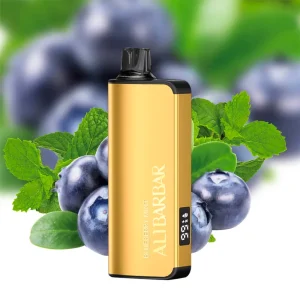 Alibarbar Ingot 9000 Puffs – Blueberry Mint