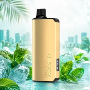 Alibarbar Ingot 9000 Puffs – Miami Mint