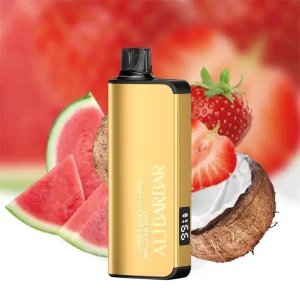 ALIBARBAR INGOT 9000 PUFFS – Strawberry Coconut Watermelon Vape