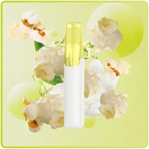 Snowplus Dash 4000 Vanilla Popcorn Vape