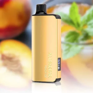 Alibarbar Ingot 9000 Puffs – Peach Ice