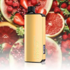 Alibarbar Ingot 9000 Puffs – Strawberry Watermelon