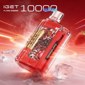 IGET FLARE B10000 Disposable Vape