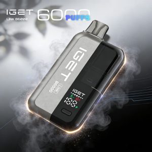 IGET LINK B6000 Disposable Vape