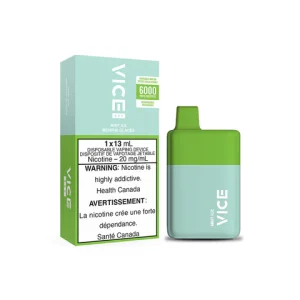 VICE BOX 6000 – Mint Ice